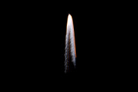 David Rippy - D1 Glitter Comet